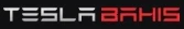 Teslabahis logosu